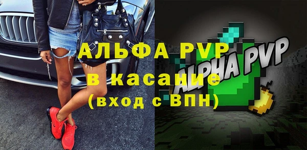 хмурый Арсеньев