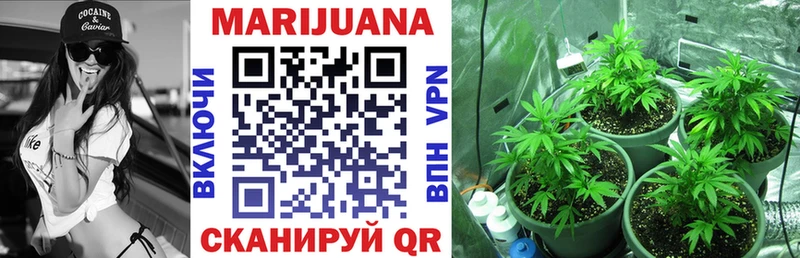 Бошки Шишки SATIVA & INDICA где можно купить наркотик Омутнинск